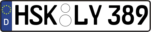 HSK-LY389