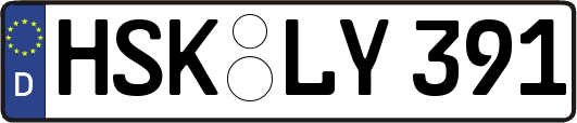 HSK-LY391