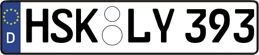 HSK-LY393