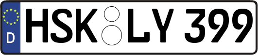 HSK-LY399