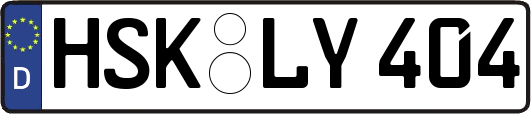 HSK-LY404