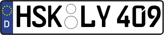 HSK-LY409