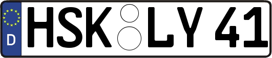 HSK-LY41
