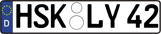 HSK-LY42