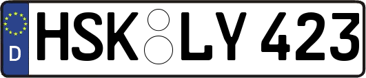 HSK-LY423