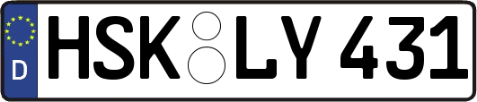 HSK-LY431