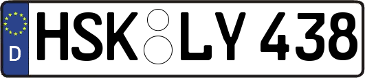 HSK-LY438