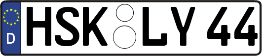 HSK-LY44