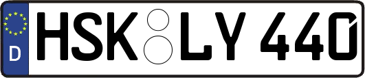 HSK-LY440