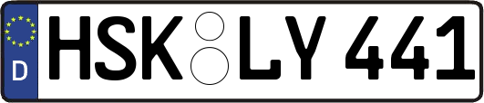 HSK-LY441
