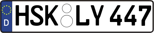 HSK-LY447