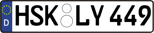 HSK-LY449