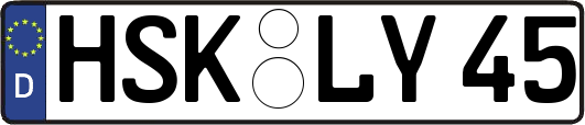 HSK-LY45