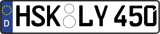 HSK-LY450