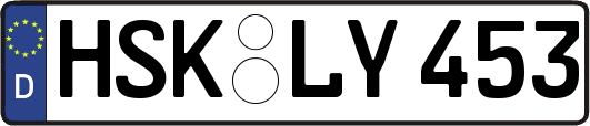 HSK-LY453