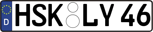 HSK-LY46