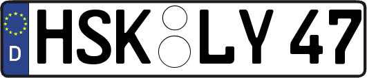 HSK-LY47