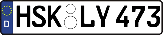 HSK-LY473