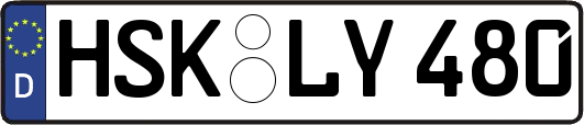 HSK-LY480