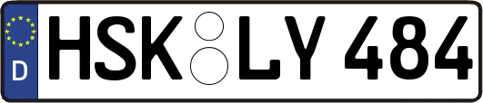 HSK-LY484