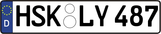 HSK-LY487