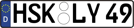 HSK-LY49