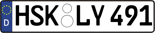 HSK-LY491