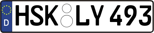 HSK-LY493
