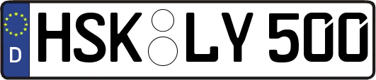 HSK-LY500