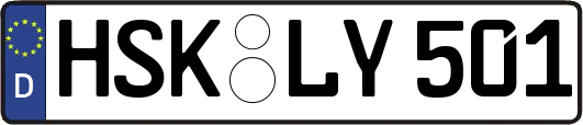 HSK-LY501