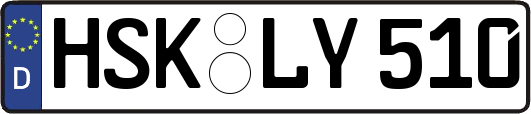 HSK-LY510