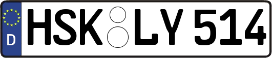 HSK-LY514