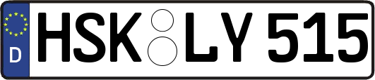 HSK-LY515