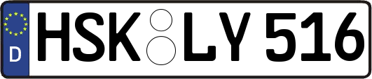 HSK-LY516