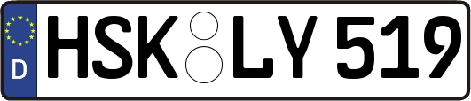 HSK-LY519