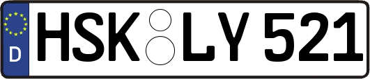 HSK-LY521