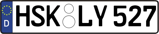 HSK-LY527
