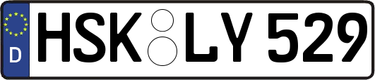 HSK-LY529