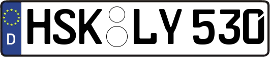 HSK-LY530