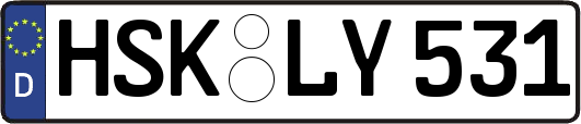 HSK-LY531