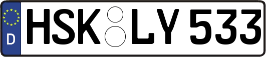 HSK-LY533