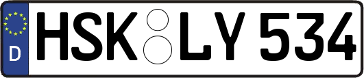 HSK-LY534