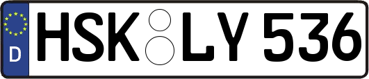 HSK-LY536