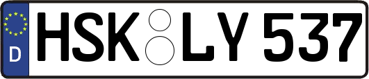 HSK-LY537