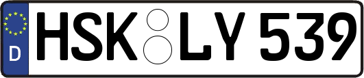 HSK-LY539
