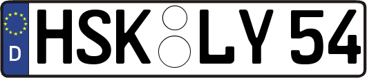 HSK-LY54