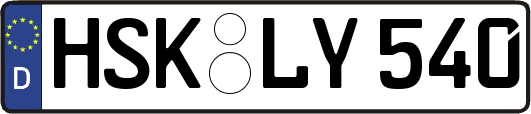 HSK-LY540