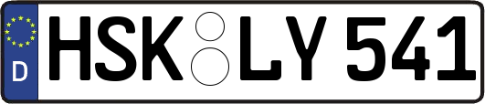 HSK-LY541