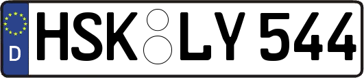 HSK-LY544