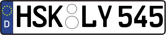HSK-LY545